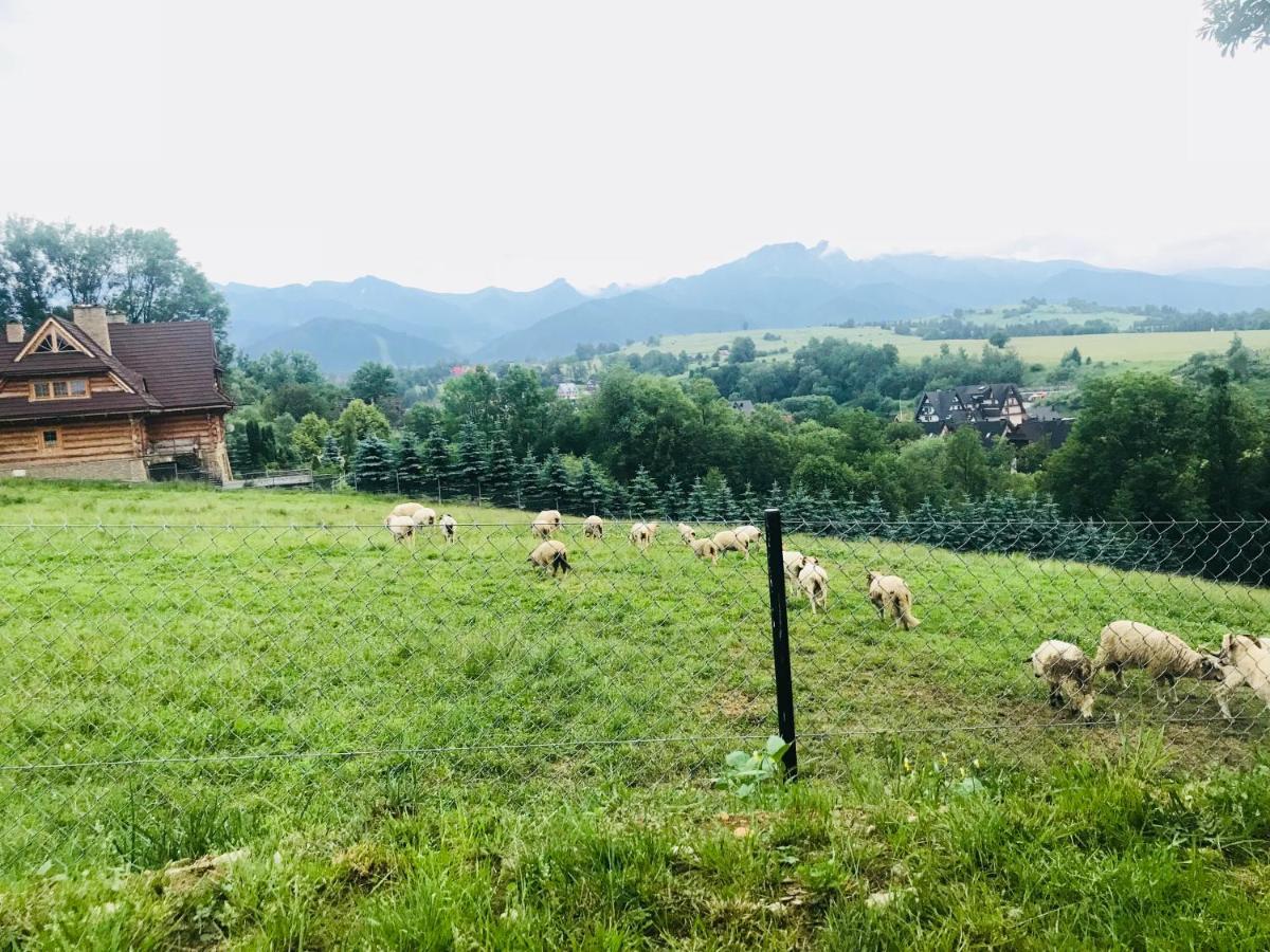 Willa Tatrzanska Zohylina Poronin Bagian luar foto